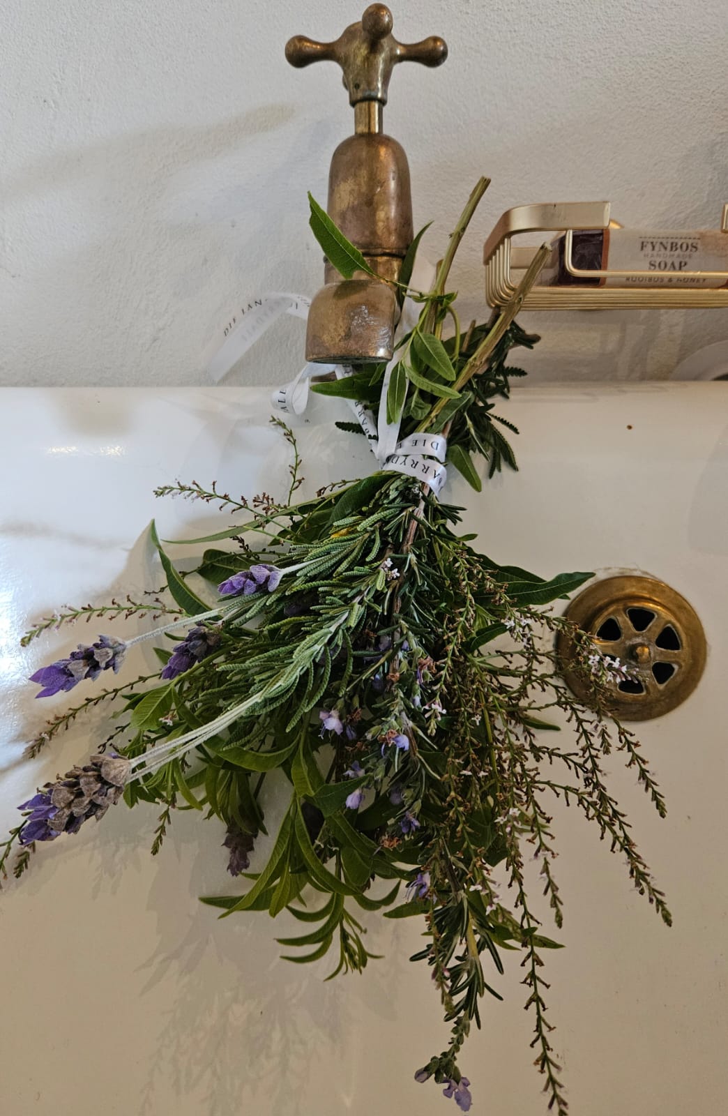 IMG-20241008-WA0057(1)